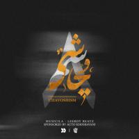 LeeRoy BeatZ Chavoshism 8