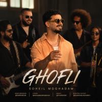 Soheil Moghadam Ghofli