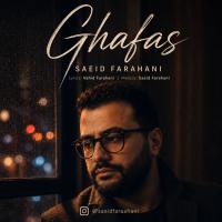 Saeid Farahani Ghafas