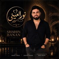 Shahin Banan Nour El Eini
