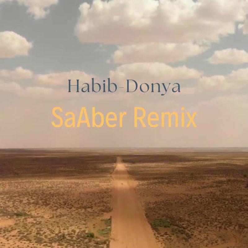 SaAber, Habib Donya (SaAber Remix)