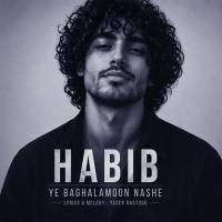 Habib Ai Ye Baghalemoon Nashe