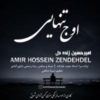 Amirhosein Zendedel Oje Tanhaei