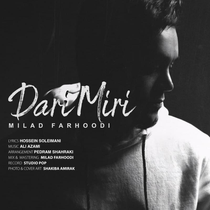 Milad Farhoodi
