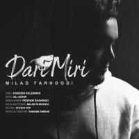 Milad Farhoodi Dari Miri