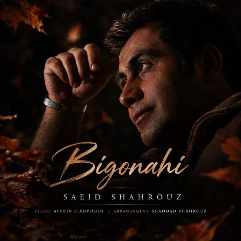 Saeid Shahrouz Bi Gonahi