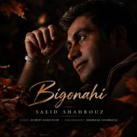 Saeid Shahrouz Bi Gonahi