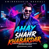 Amirhossein Noshali Ahay Shahr Khabardar