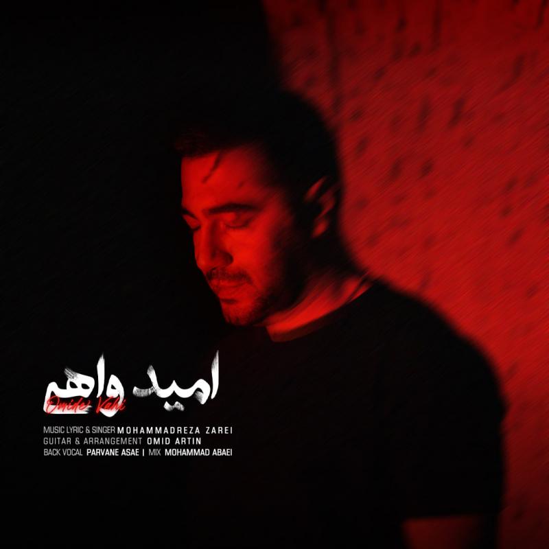 Mohammadreza Zarei