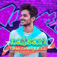 Sina Ghavidell Lajbazi