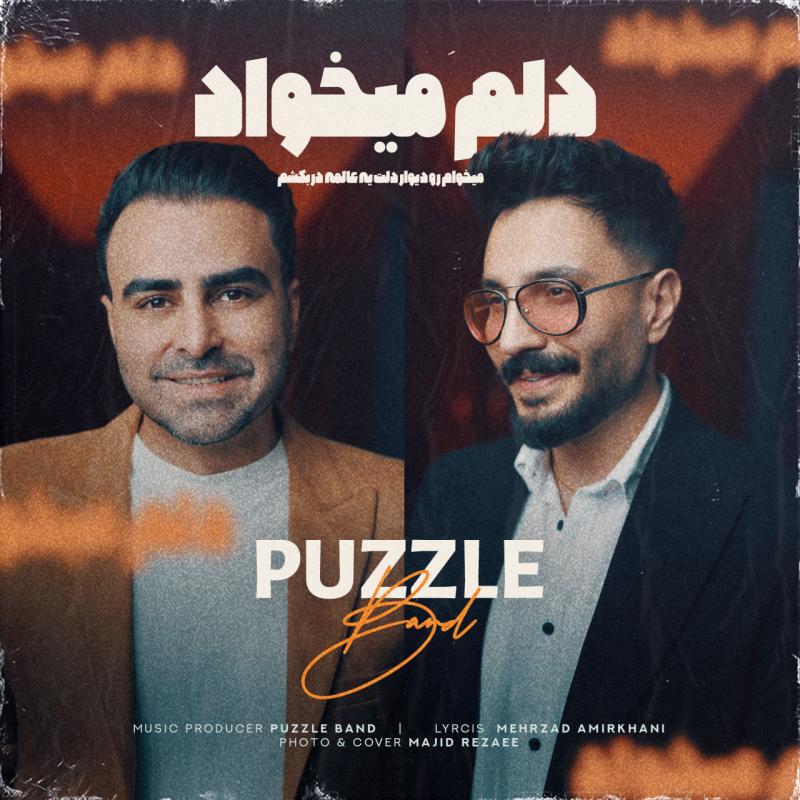 Puzzle Delam Mikhad