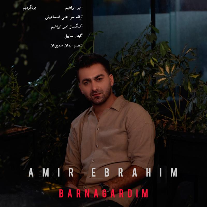 Amir Ebrahim Barnagardim