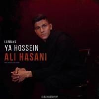 Ali Hasani Labbayk Ya Hossein