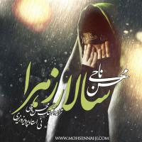 Mohsen Nahi Salare Zahra