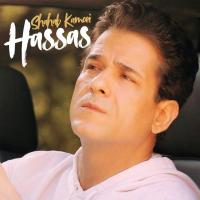 Shahab Kamoei Hassas