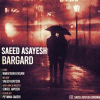 Saeed Asayesh Bargard