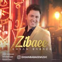 Ehsan Babaee Zibaee