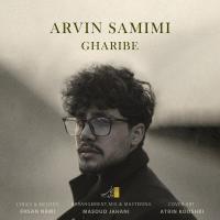 Arvin Samimi Gharibeh