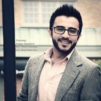 Pedram Shanehsaz Zendegi