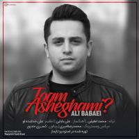 Ali Babaei Toam Asheghami