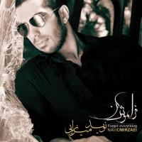 Navid Mirzaie Na Dige Donbalam Nagard