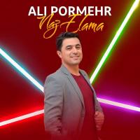 Ali Pormehr Naz Eleme