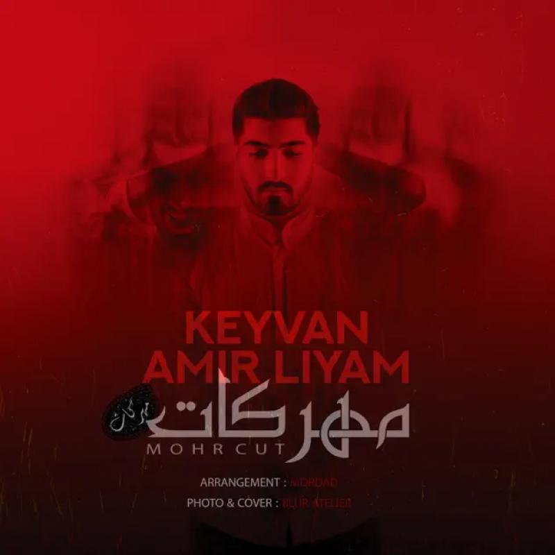 Amir Liyam Mohre Cut