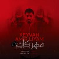 Amir Liyam Mohre Cut