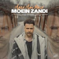 Moein Zandi Male Man Bash