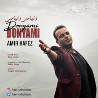 Amir Hafez Donyami Donyami