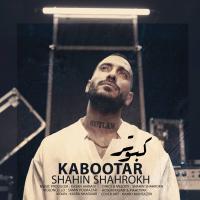 Shahin Shahrokh Kabootar