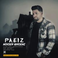 Mohsen Ghasemi Paeiz