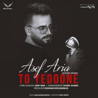 Asef Aria To Yedoone (Acoustic Version)