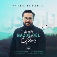 Yaser Esmaeili Nazok Del