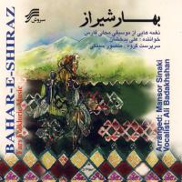 Ali Badakhshan Instrumental 3