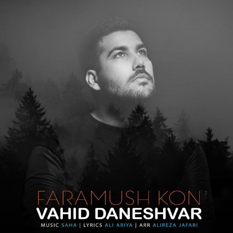 Vahid Daneshvar Faramush Kon