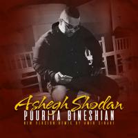 Pouriya Bineshiyan Ashegh Shodan (New Version)
