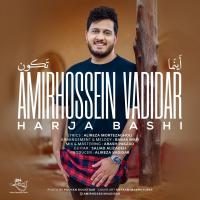 Amirhossein Vadidar Harja Bashi