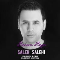 Saleh Salehi Behem Begoo