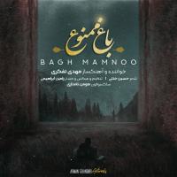 Mehdi Tafakori Bagh Mamnoo