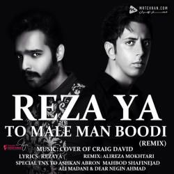 Rezaya To Male Man Budi (Alireza Mokhtary Remix)