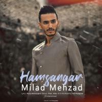 Milad Mehzad Hamsangar