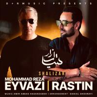 Rastin & Mohammadreza Eyvazi Shalizar