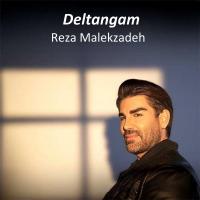 Reza Malekzadeh Deltangam