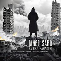 Amirali Bahadori Jange Sard