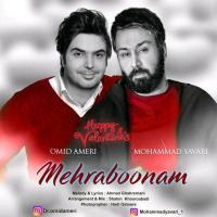 Omid Ameri & Mohammad Yavari Mehraboonam