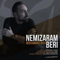 Mohammad Ravi Nemizaram Beri