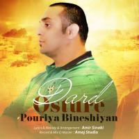 Pouriya Bineshiyan Osture Dard
