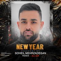 Soheil Mehrzadegan New Year Podcast