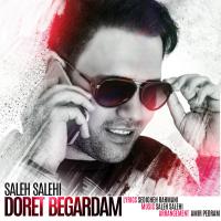 Saleh Salehi Doret Begardam